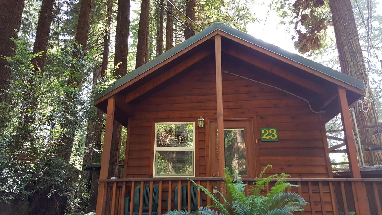 Emerald Forest Cabins Trinidad Dış mekan fotoğraf