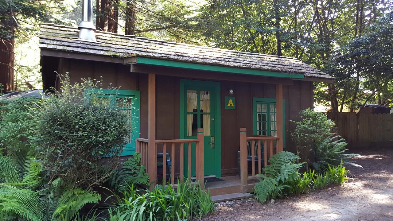 Emerald Forest Cabins Trinidad Dış mekan fotoğraf