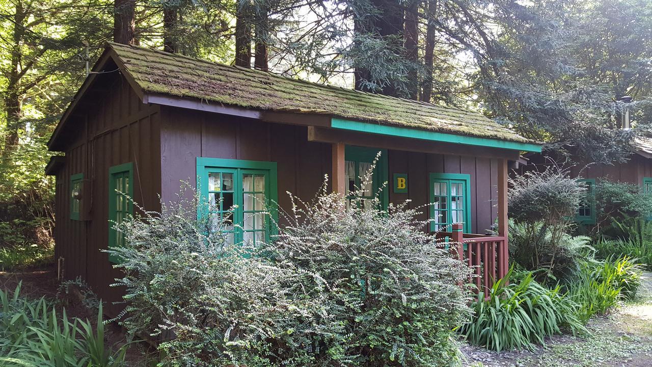Emerald Forest Cabins Trinidad Dış mekan fotoğraf