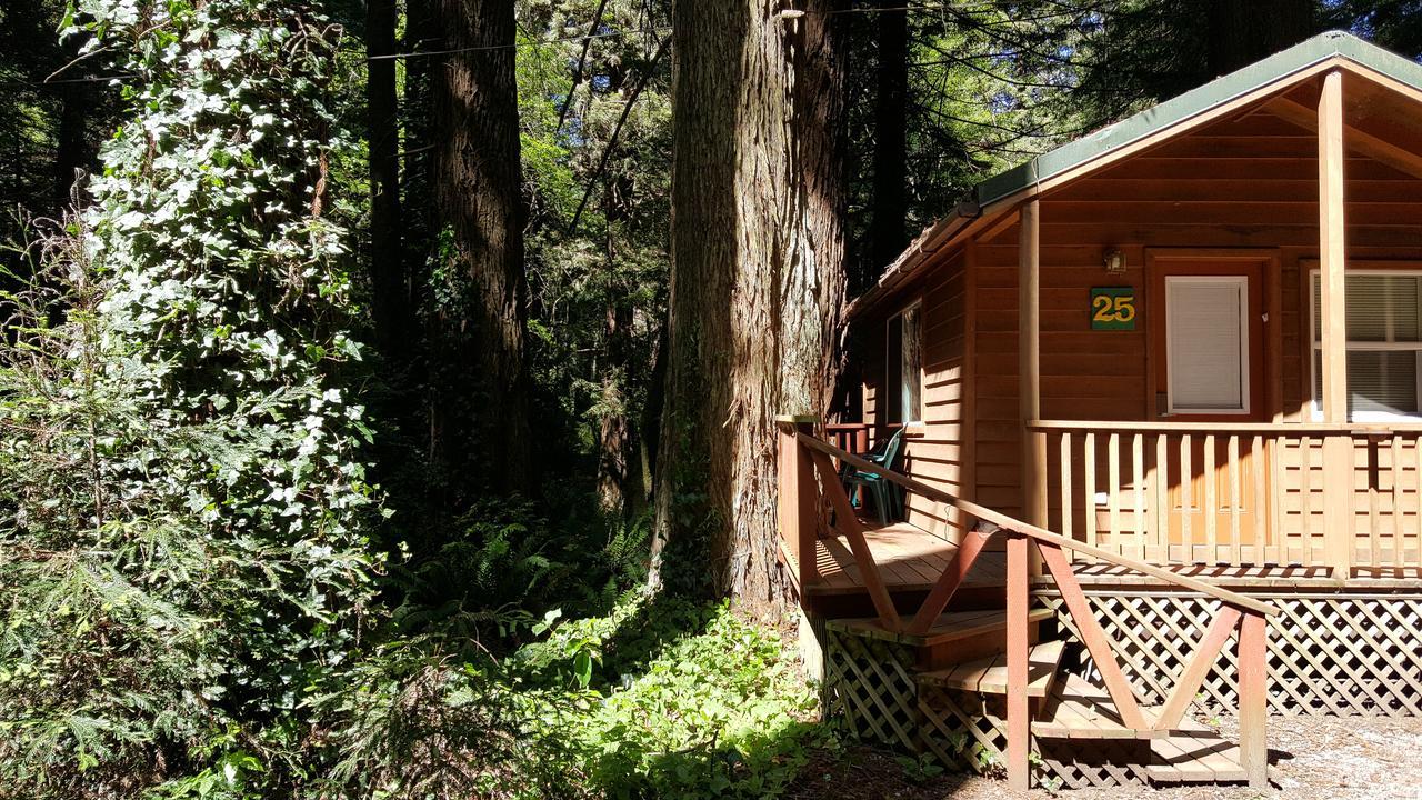 Emerald Forest Cabins Trinidad Dış mekan fotoğraf