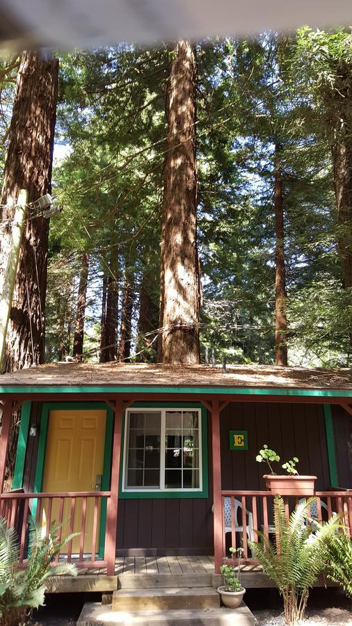 Emerald Forest Cabins Trinidad Oda fotoğraf