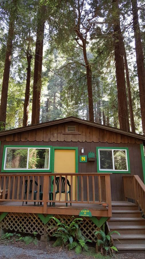 Emerald Forest Cabins Trinidad Oda fotoğraf