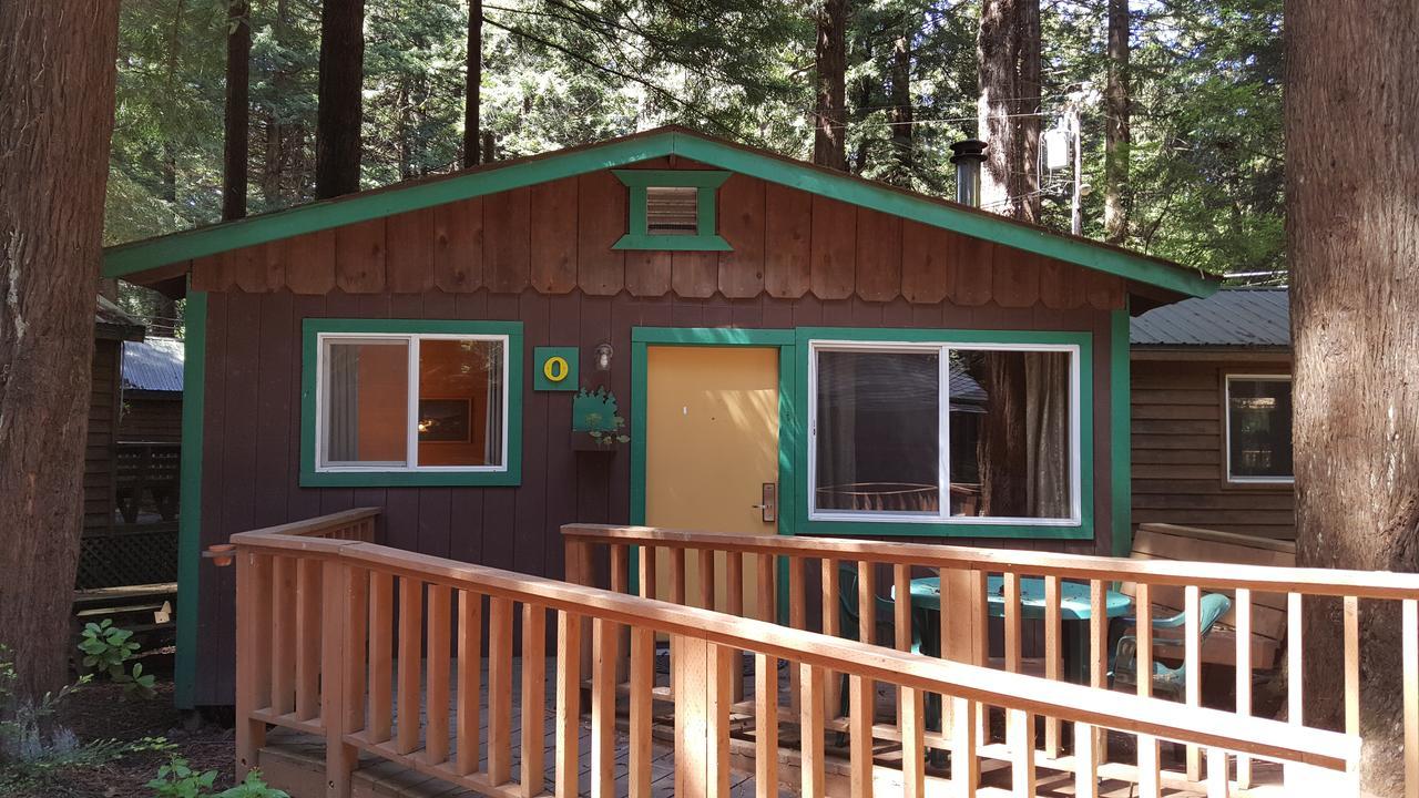 Emerald Forest Cabins Trinidad Oda fotoğraf