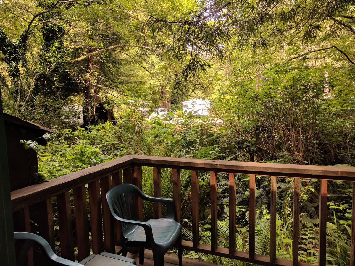 Emerald Forest Cabins Trinidad Oda fotoğraf