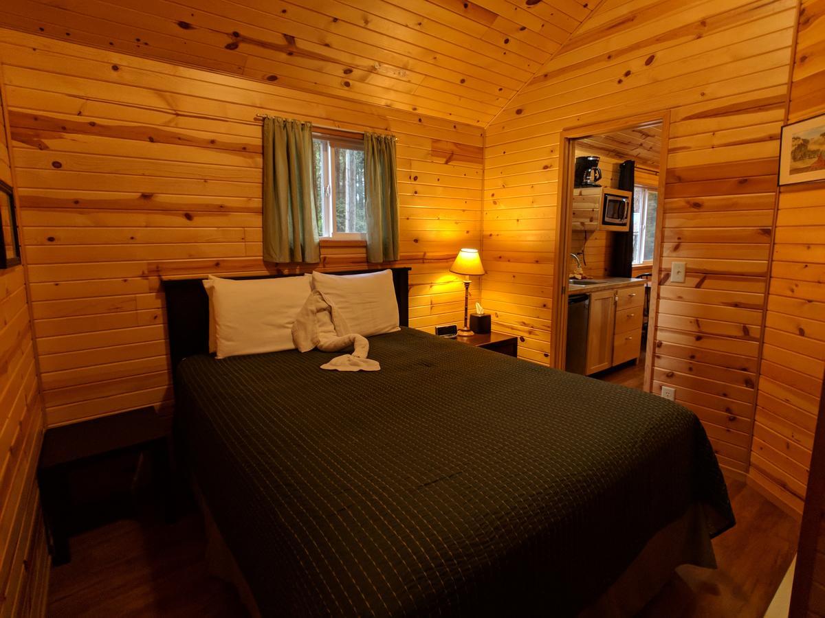 Emerald Forest Cabins Trinidad Dış mekan fotoğraf